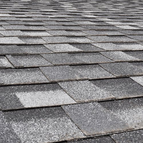 Asphalt Shingle Roof
