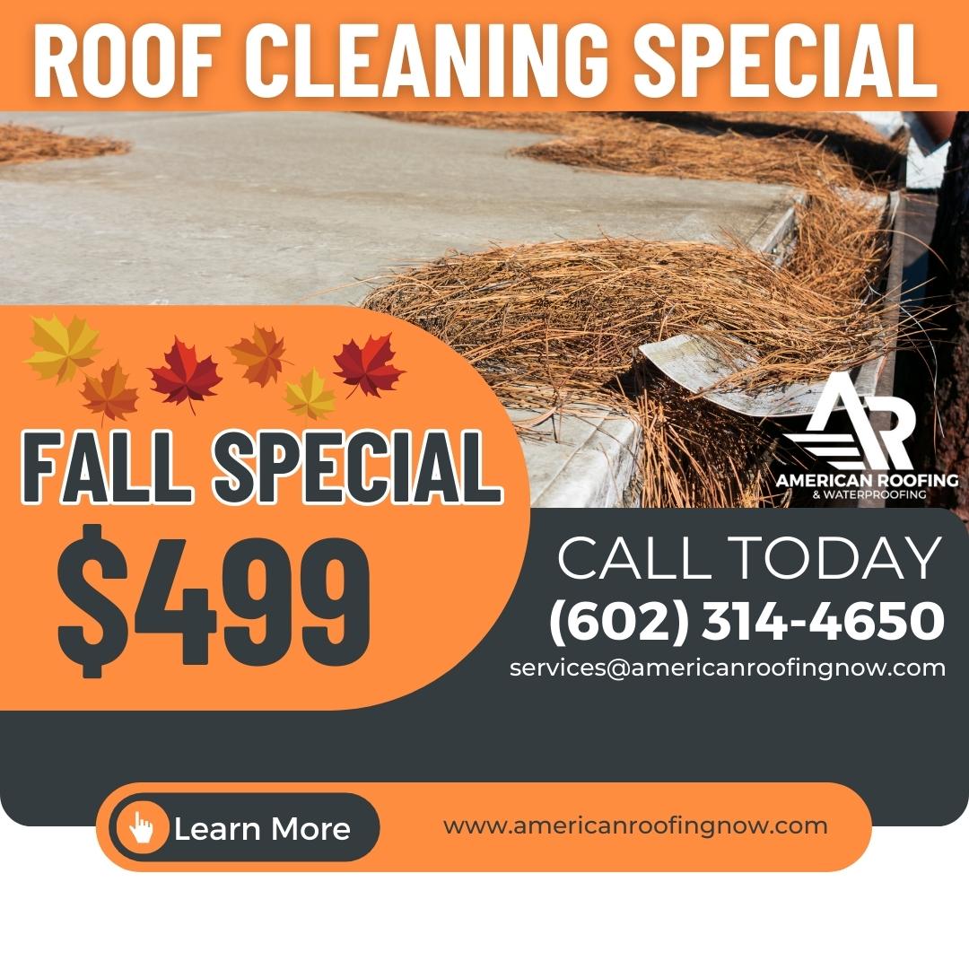 Fall Roof / Gutter Cleaning Special