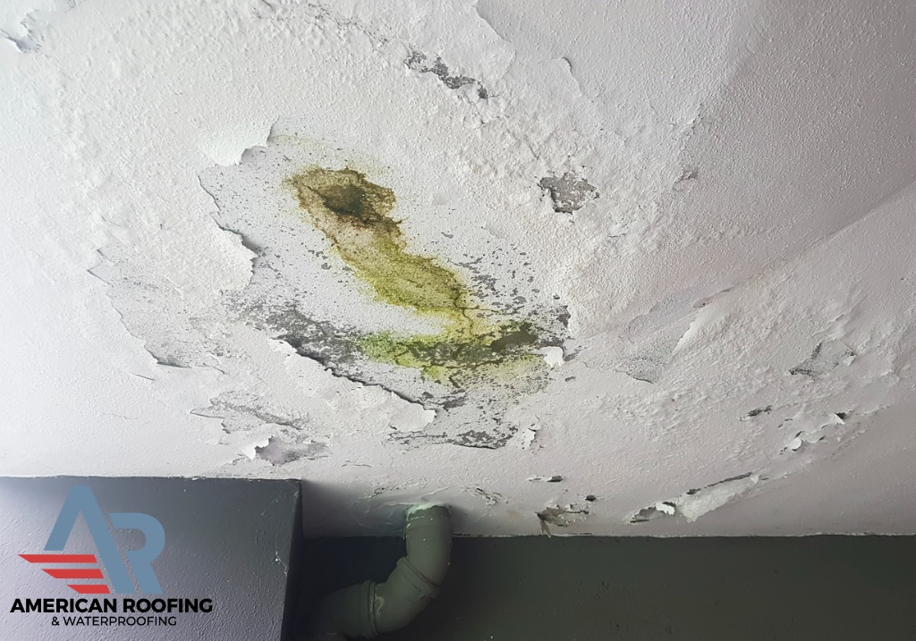 Can a Roof Leak Lead to Mold