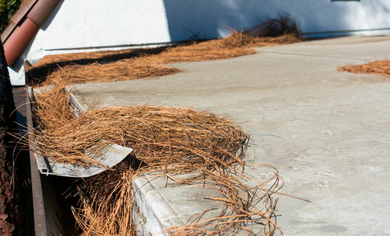 Roof and Gutter Cleaning Phoenix